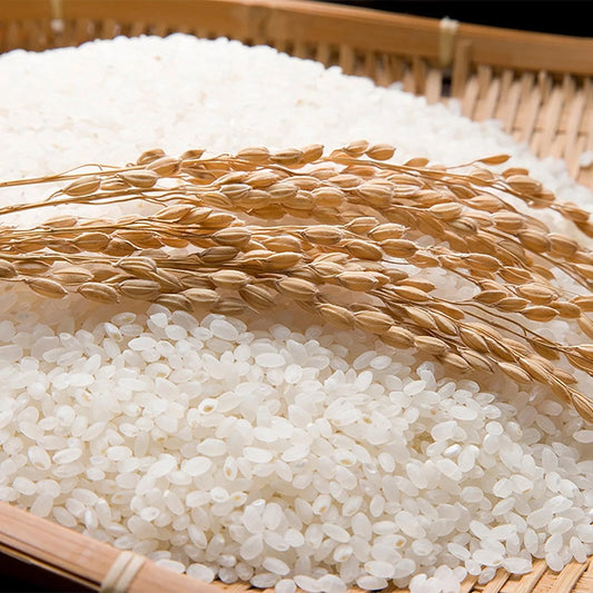 Korean Rice Water: From Joseon Queens to Your Skincare Routine